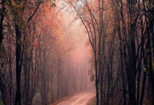 乒乓球——亚洲杯：蒯曼获得铜牌.