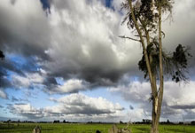 [CBA]浙江稠州迎战上海 两队力求改变现状.